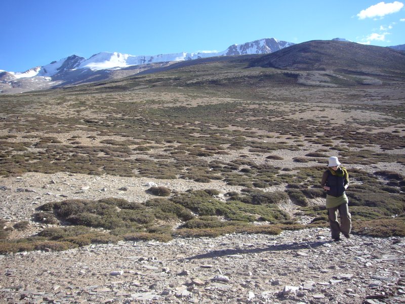 Travel - India - Ladakh - Tso Moriri Trip - Karzog and Tso Moriri - The Beach and the mountain - The Mountain